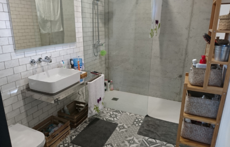 baño completo, suelo decorado, se ve la ducha, inodoro y lavado, encima de el un espejo, baldosas de la pared en blanco